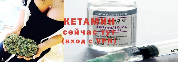 сатива Каменка