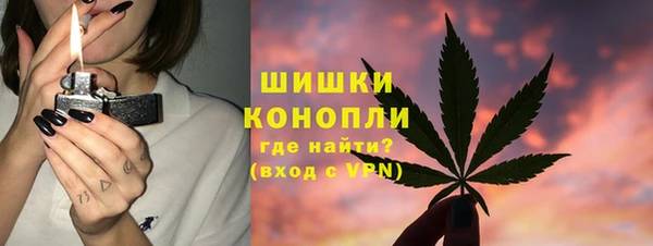 сатива Каменка