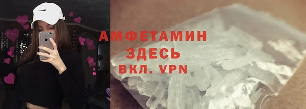 сатива Каменка