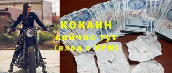 сатива Каменка