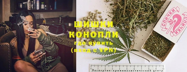 сатива Каменка