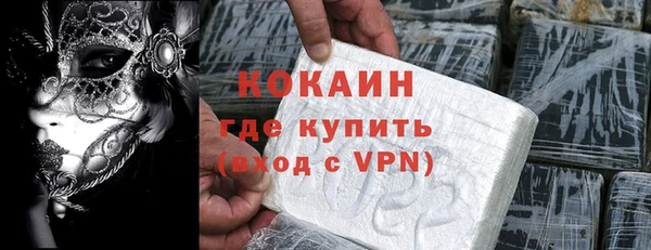 сатива Каменка