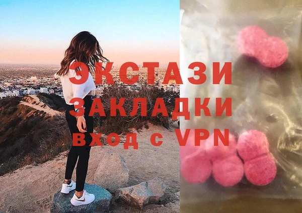 сатива Каменка