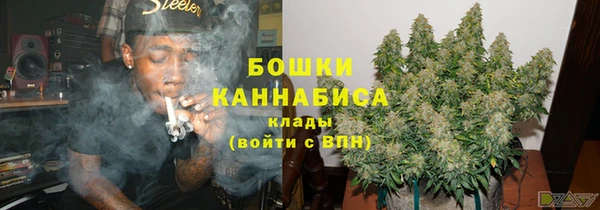 сатива Каменка