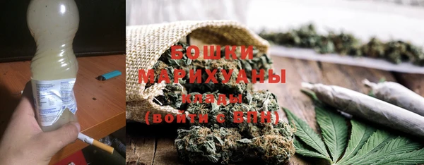 сатива Каменка