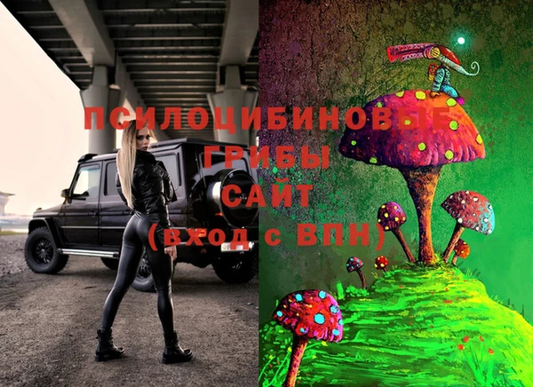 a pvp Каменногорск