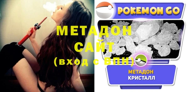 сатива Каменка