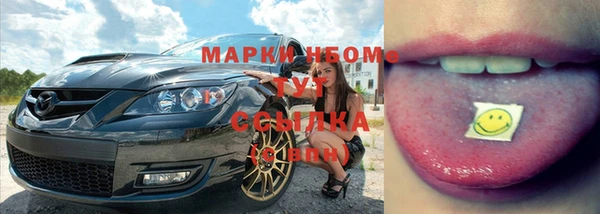 сатива Каменка